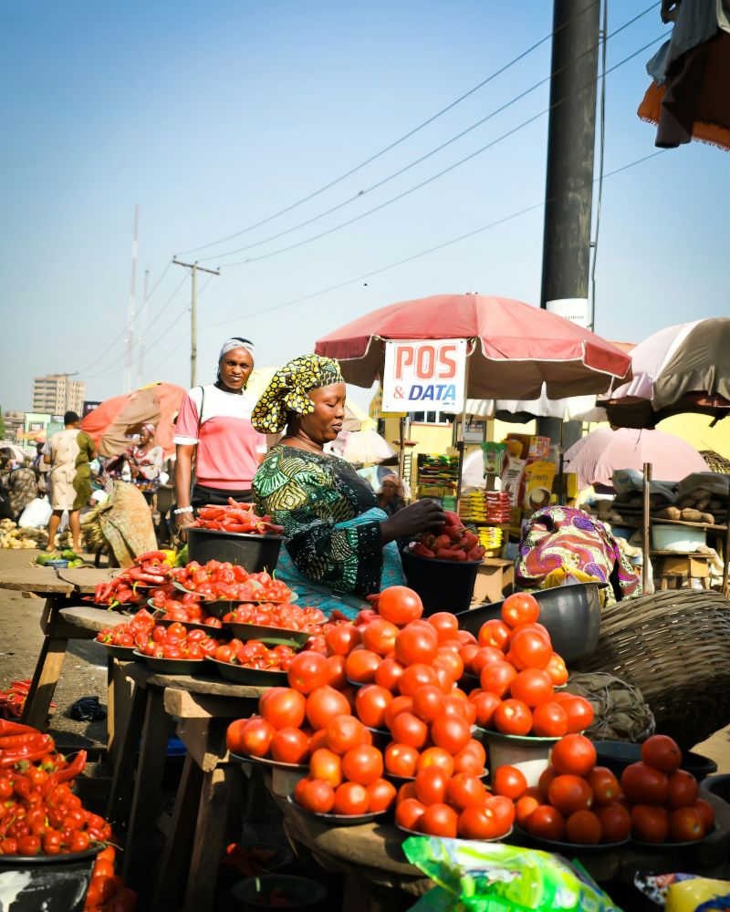 Microfinance & Susu